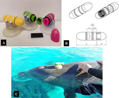 Identification of individual bottlenose dolphins (Tursiops truncatus) emitters using a cheap wearable acoustic tag